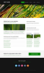 SoftHued - Free Web Templates