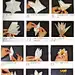 【六瓣百合花折纸DIY教程】快来学一学折出六瓣的百合花吧，非常漂亮哟～