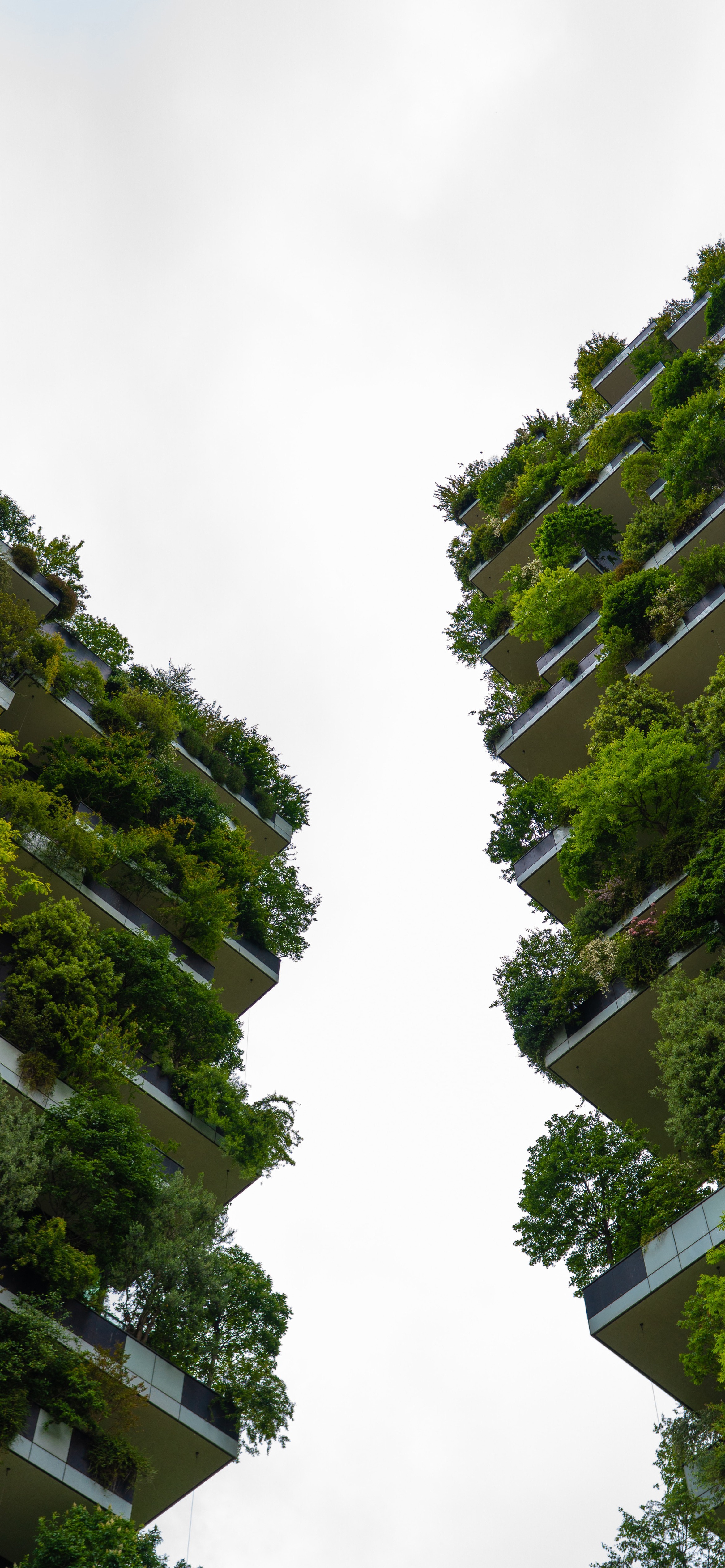 又发现一张还不错的手机壁纸