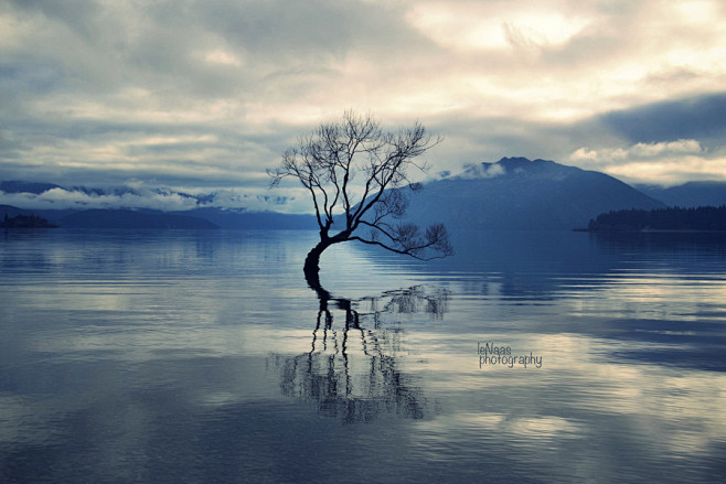 Photograph Wanaka by...