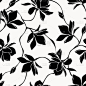 花纹与木兰花。矢量黑白无缝背景