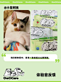 体验官repo｜我没开玩笑！是真的好用优质！