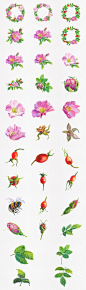 唯美小清新粉色花朵花圈花蕊PNG素材