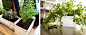 Let's Patch Planters : Check out and support this Kickstarter Project from Patch Planters. This 
lightweight, self watering planting system comes in a self-contained 
package that is easy to assemble and maintained. 

Let's Patch has engaged with Kickstar