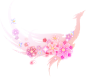 樱花之径