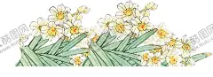水仙花 【酷图网】花,花朵花草,水仙花,卡通花朵,插画图片,唯美花朵,花朵贺卡,花朵儿,花元素,免扣花素材,免扣花,手绘花朵,金色花朵,花朵背景,底纹,手绘,手绘花纹,矢量花朵,免抠花朵,彩色花,插画,艺术花,花朵叶子,花朵,叶子,花朵树叶,植物树叶,树叶花草,插画花朵,花草,花纹花草,花形