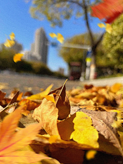 洗尽铅华0710采集到背景