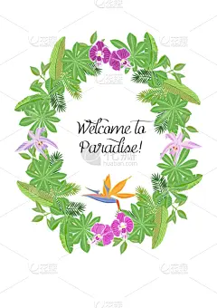 热带雨林,植物群,草图,白色,鸡尾酒,自然,兰花,野生动物,花,设计