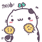 花园家的喵咕酱o(‘ω´*)o 丨图by 花园夜