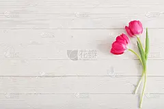 郁金香,背景,木制,白色,粉色,可爱的,贺卡,清新,春天,乡村风格