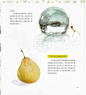 古风水彩花卉水彩技法 手绘临摹教程 绘画素材XD018