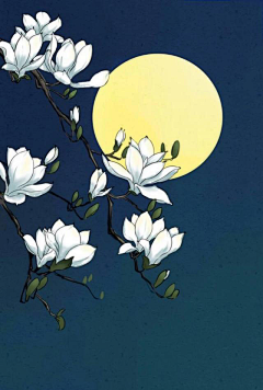 ·菩提心·采集到《植物绘》