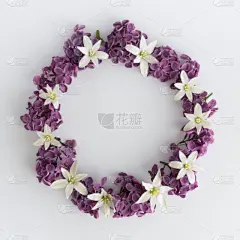 边框,花环,圆形,紫色,白色背景,贺卡,艺术,历日,花束,部分