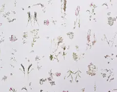 DWC荷兰进口壁纸，绚美的设计图案【有容中国】