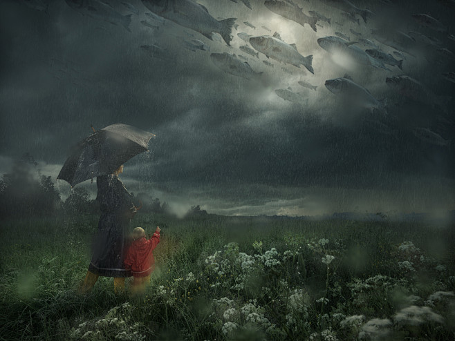 Lost in the Rain : A...