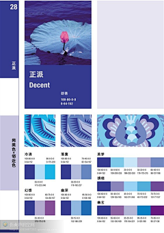 design*L采集到色彩