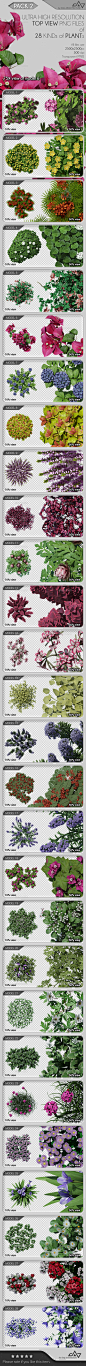 顶视图植物包2 -对象插图Top View Plants Pack 2 - Objects Illustrations3 d、3 d计划、架构、资产概念,外观,地板设计、平面图、鲜花、森林,游戏,花园,发电机,绿色,地面、房屋设计、土地、景观布局、地图、总体规划、现代、自然、植物、地形、木材、顶部,树,看来,木头 3d, 3d plan, architecture, asset, concept, exterior, floor design, floor plan, flowers, forest, g