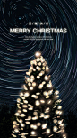 三维圣诞树合成海报版式设计