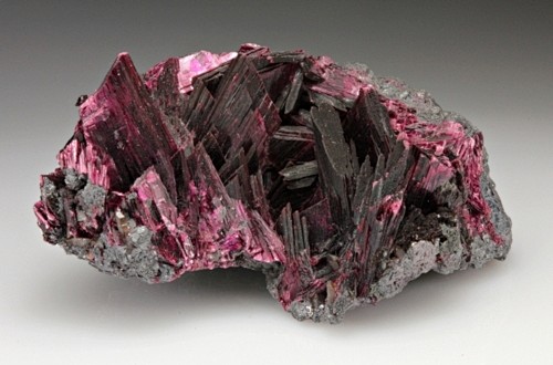 Erythrite from Moroc...