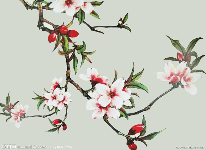 国画桃花分层素材