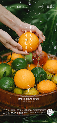 笨笨晨采集到节气
