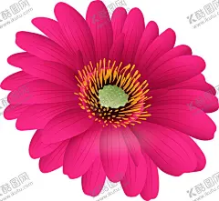 卡通花免抠图 【酷图网】卡通花,花朵,植物,手绘,写实,免抠图,png,