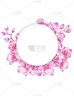 热带复古框架与兰花。在白色背景上，手绘插图，模板设计。