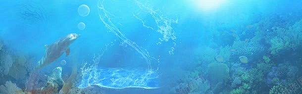 海底梦幻背景banner高清素材 珊瑚 ...