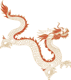 龙