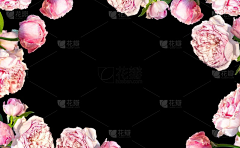 用户tfLpvx5b采集到待归类采集