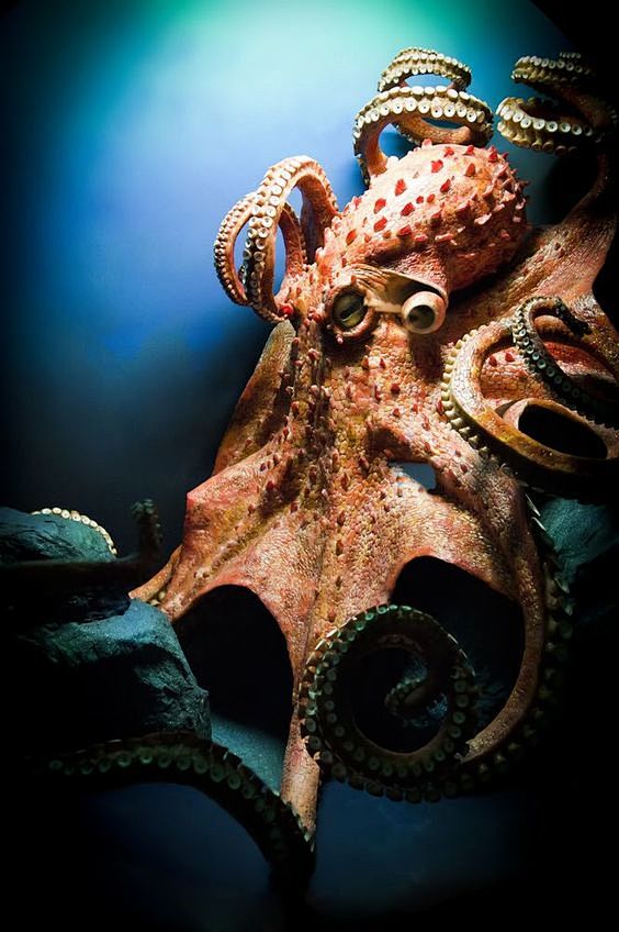sea photography