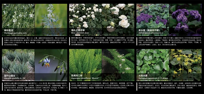 上海招商·云澜湾展示区长效花境 / 微木...