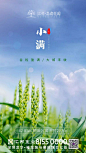 地产海报 | 节气小满海报版式设计【排版】