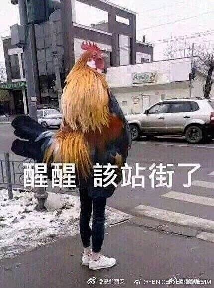 一些网上冲浪很好用的表情包原图 （评论还...