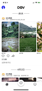 首页-美叶