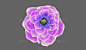 一朵紫色大花，花蕊，花苞，花骨朵 - 植物模型 蛮蜗网