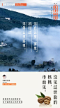广告门