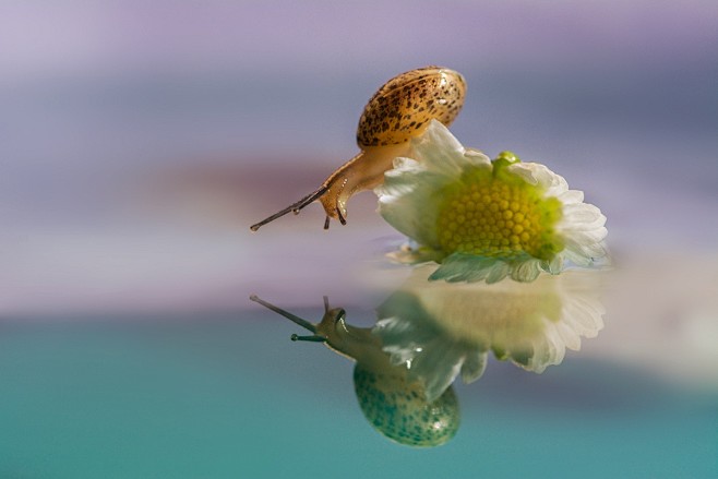 Photograph Who are y...