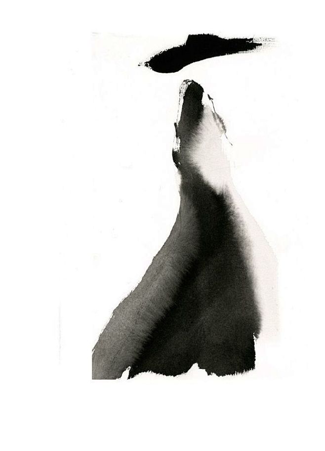 插画师 Aurore De La Mor...