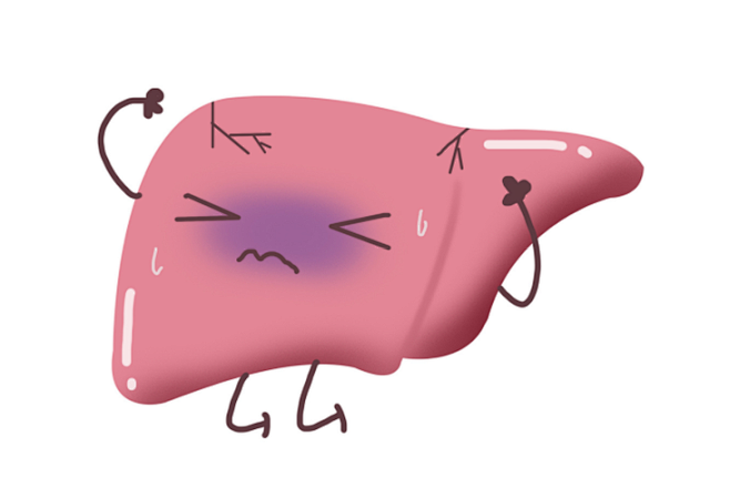 肝png_百度图片搜索