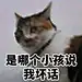 廿八号