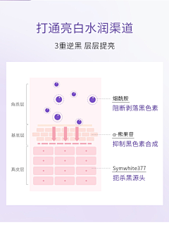 趴着不说话采集到皮肤结构