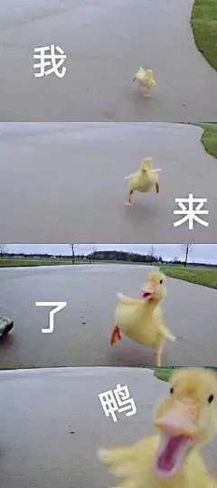 突然出现的表情包|你的小可爱来啦