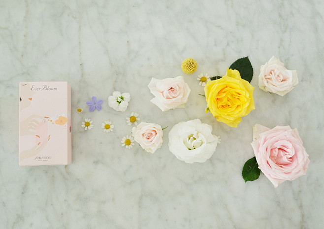 SHISEIDO | 卤猫