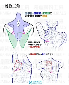 漫画手绘人体怎么画？一步步教你画漫画手绘人体