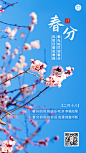 春分金融保险节气祝福实景海报