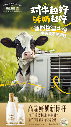 翱翔的鱼儿采集到蒙牛