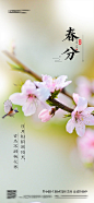 【源文件下载】 海报 地产  二十四节气  春分  桃花  简约 403690