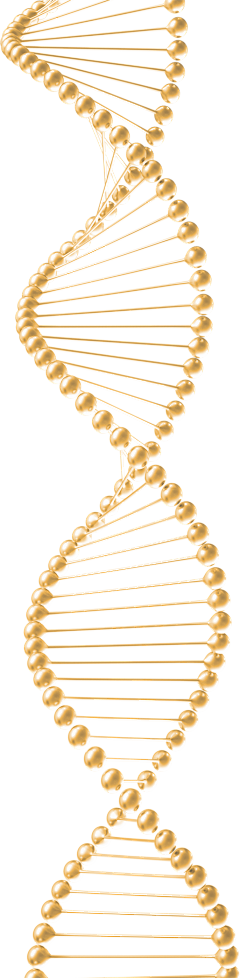 ♂任重而道远采集到分子图形