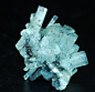 eocene:<br/>Beryl (var. Aquamarine) w/ Schorl<br/>